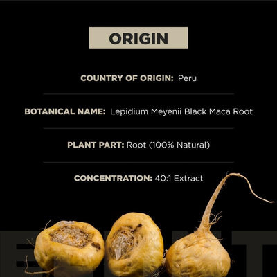 ELENT - BLACK MACA